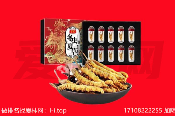 三亚市回收虫草.jpg